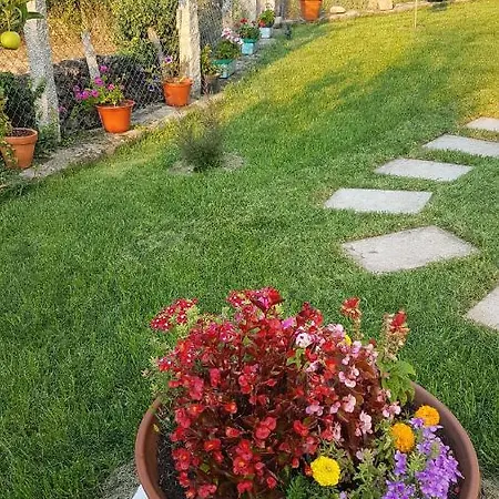 Lar Do Solpor Apartamento Allariz